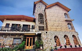 Hotel Alpine Musk